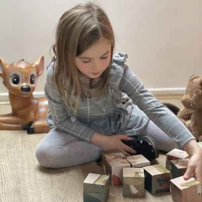 Forest Animals Cube Puzzles