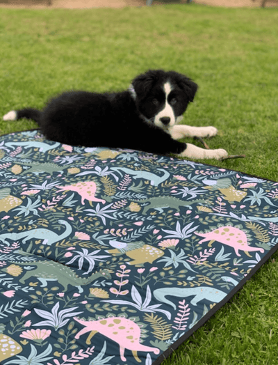 Kollab- Introducing The Mini Picnic Rug