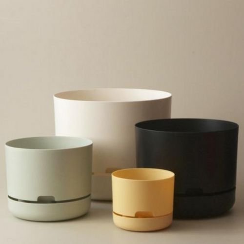 Mr Kitly X Decor Pots - The Corner Booth