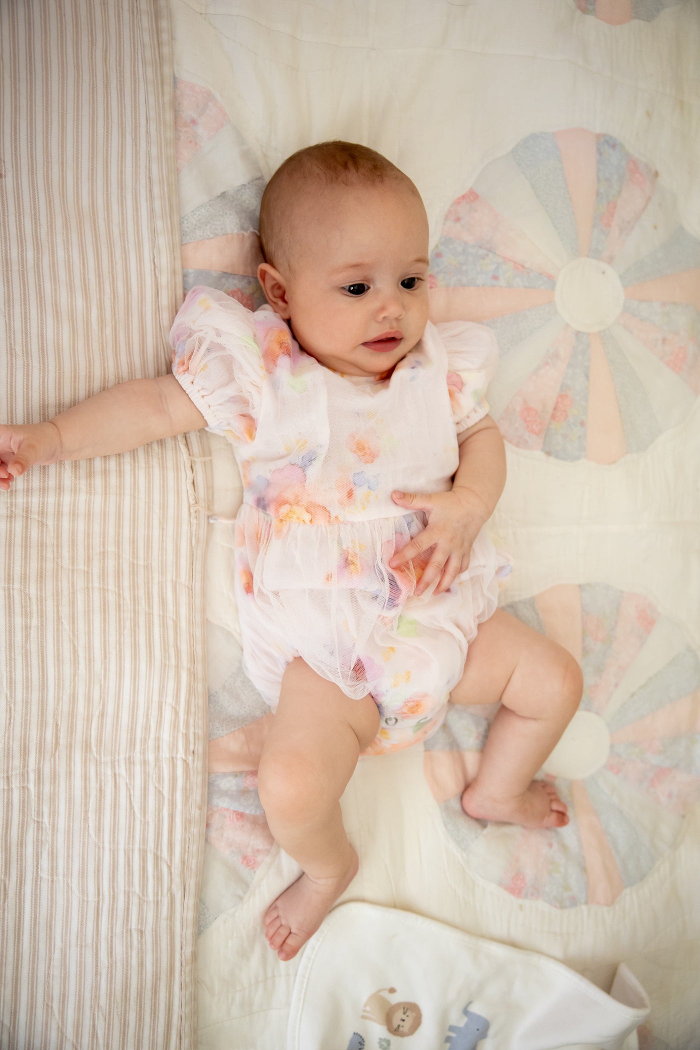 Alex and Ant Dorothy Playsuit Roses