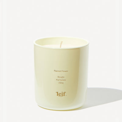 Leif Flannel Flower Candle