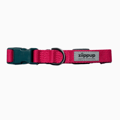 Ziippup Pink Dog Collar