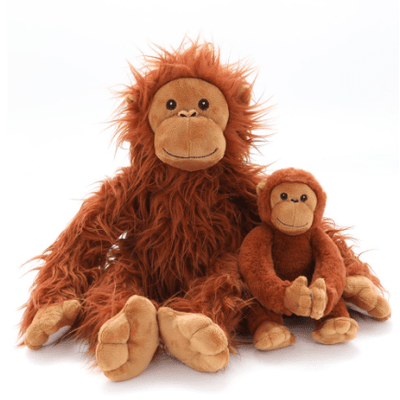 The Orangutans