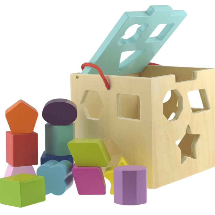 Wooden Shape Sorter with 12 wooden pieces