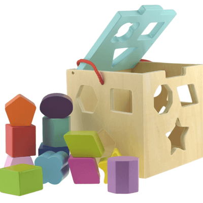 Wooden Shape Sorter with 12 wooden pieces