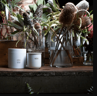 Salus Lemongrass Soy Porcelain Candle