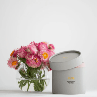 Salus Rose Geranium Soy Porcelain Candle