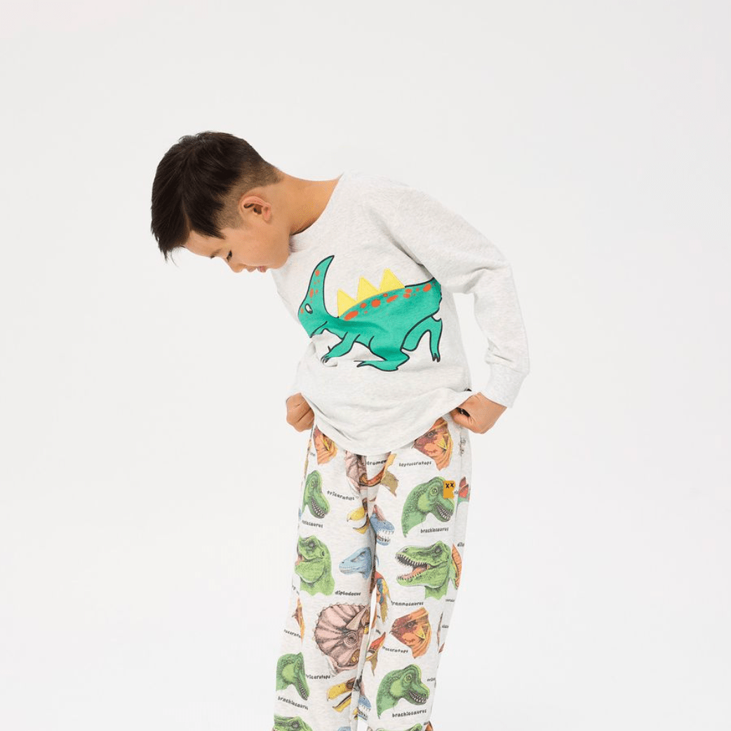 Rock Your Kid Green Dino Long Sleeve TShirt Grey Marle