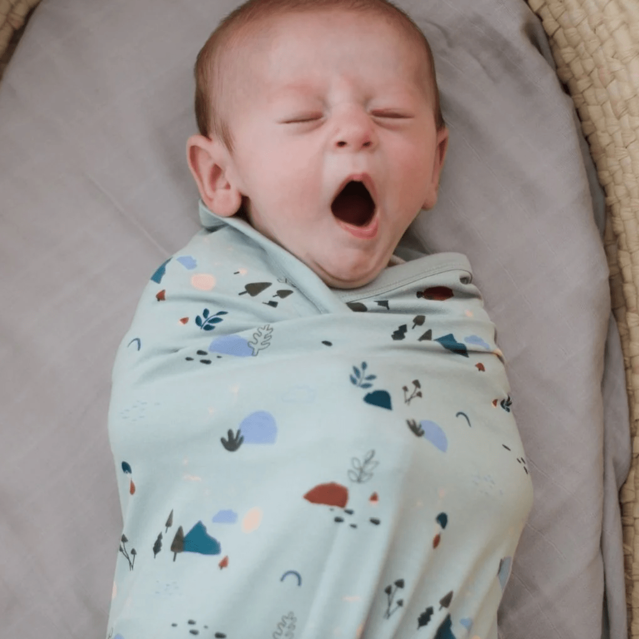 Burrow and Be Stretchy Swaddle Garden Treasures