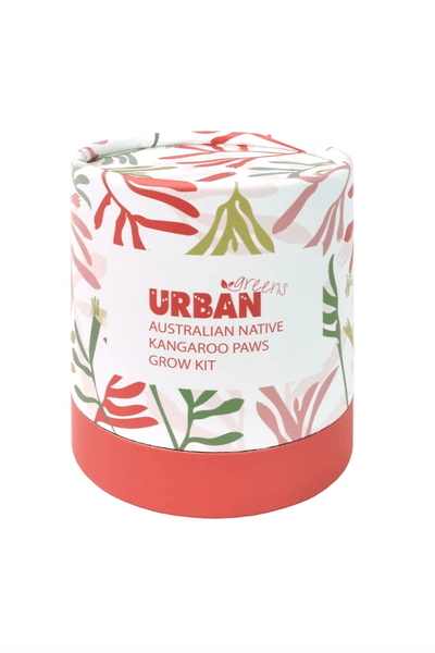 Urban Greens Australian Native Kangaroo Paws Grow Kit