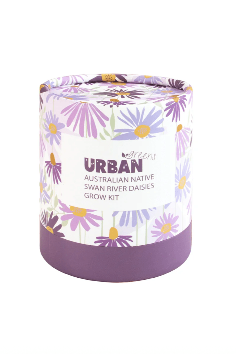 Urban Greens Australian Native Swan River Daisies Grow Kit