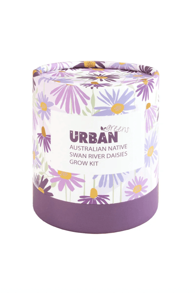 Urban Greens Australian Native Swan River Daisies Grow Kit