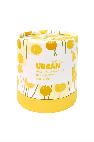 Urban Greens Australian Native Billy Buttons Grow Kit