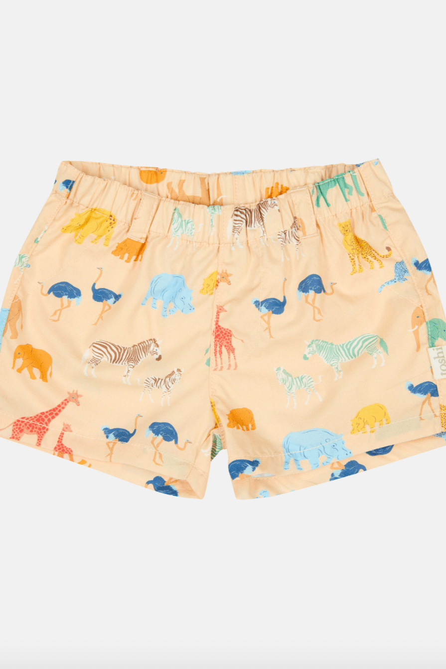 Toshi Baby Shorts Banjo/Congo Driftwood