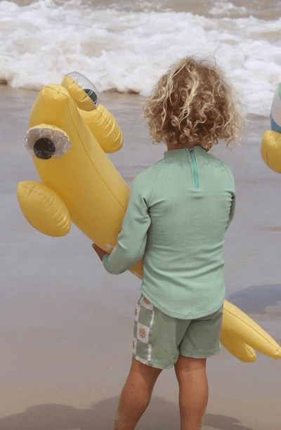 Sunny Life Kids Inflatable Noodle Finn the Fish Multi set of 2
