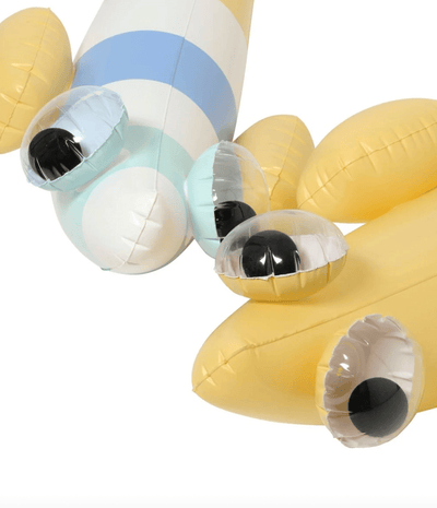 Sunny Life Kids Inflatable Noodle Finn the Fish Multi set of 2