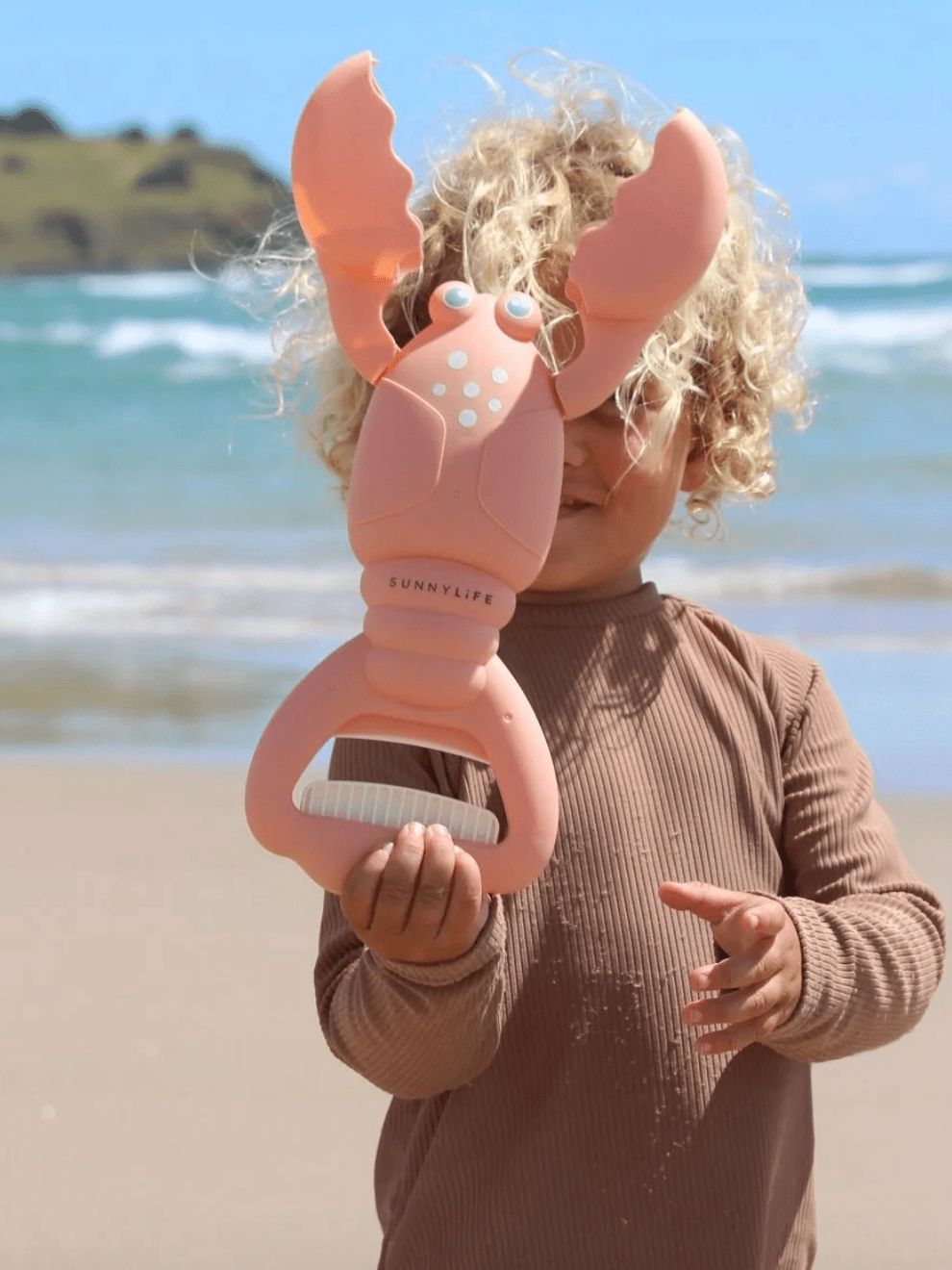 Sunny life Sand Claws-Lobster Coral