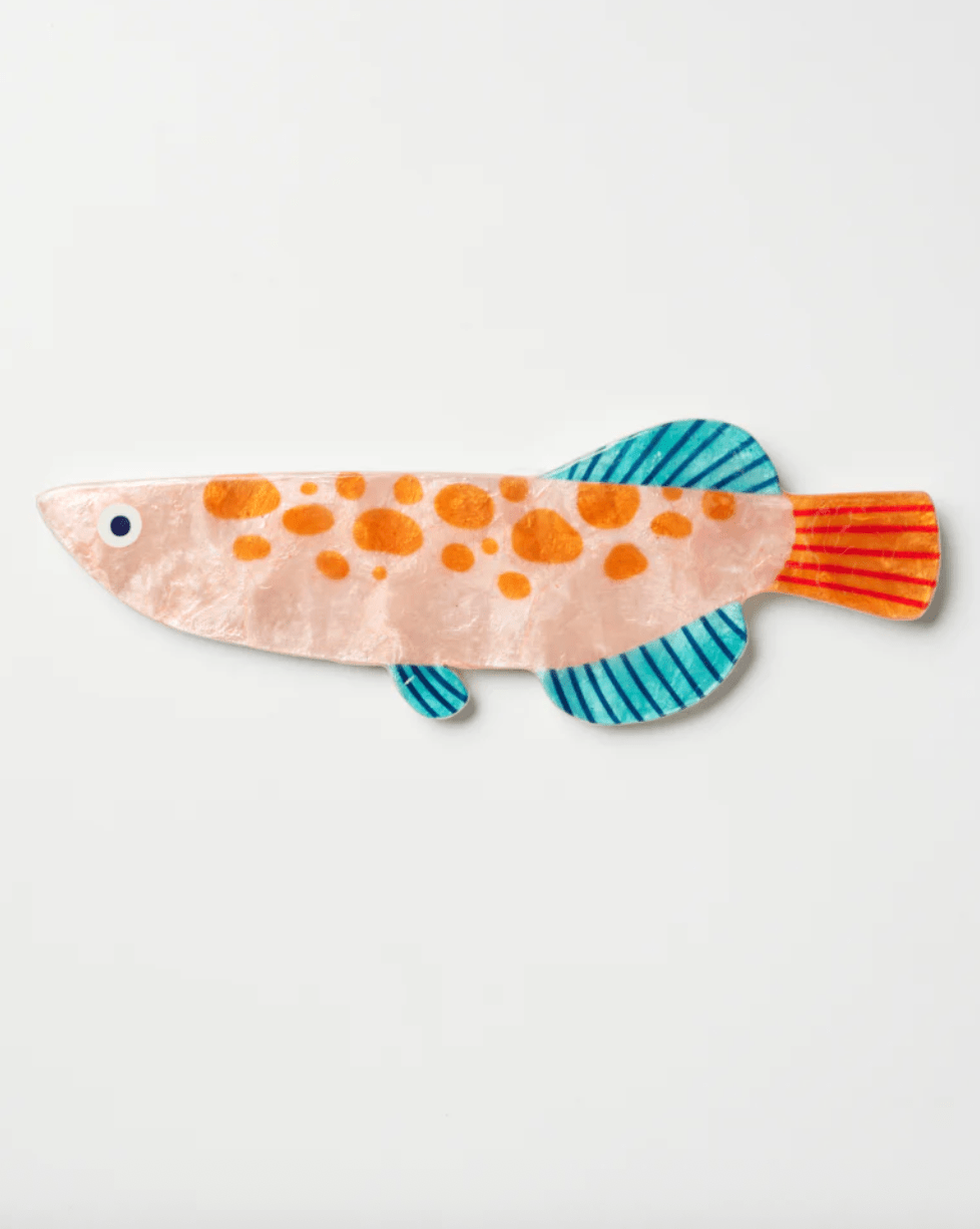 Jones and Co Comet Fish