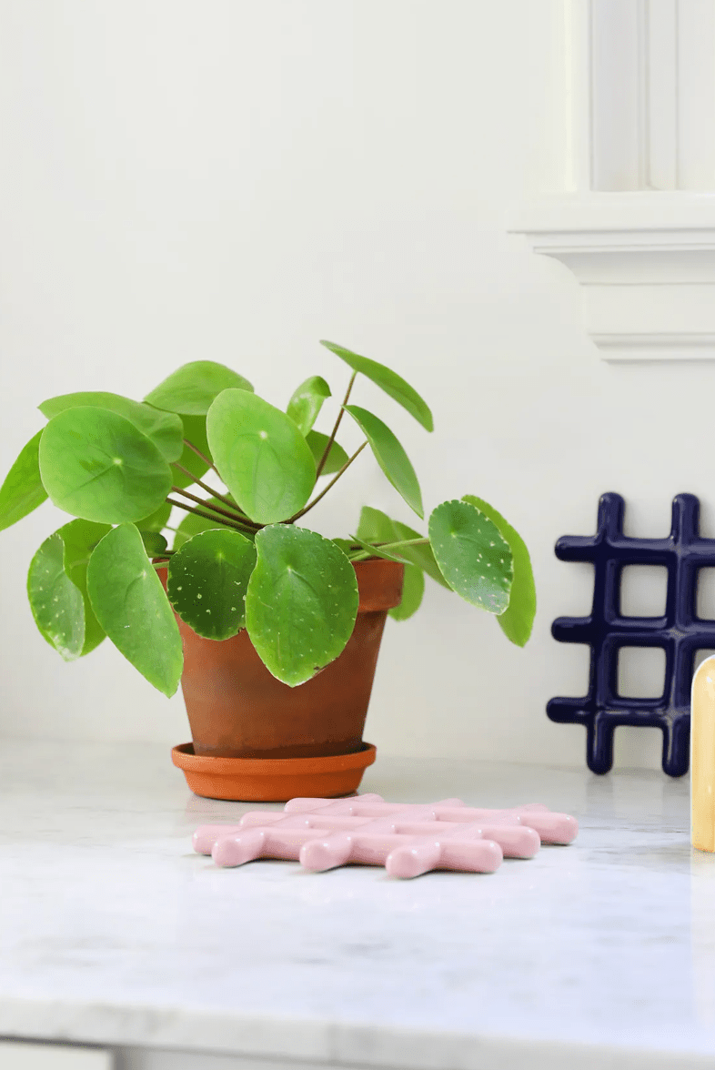 Klevering Trivet Grid Pink