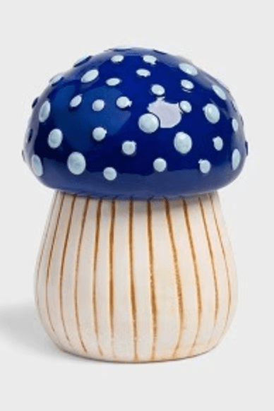 Klevering Jar Magic Mushroom Medium