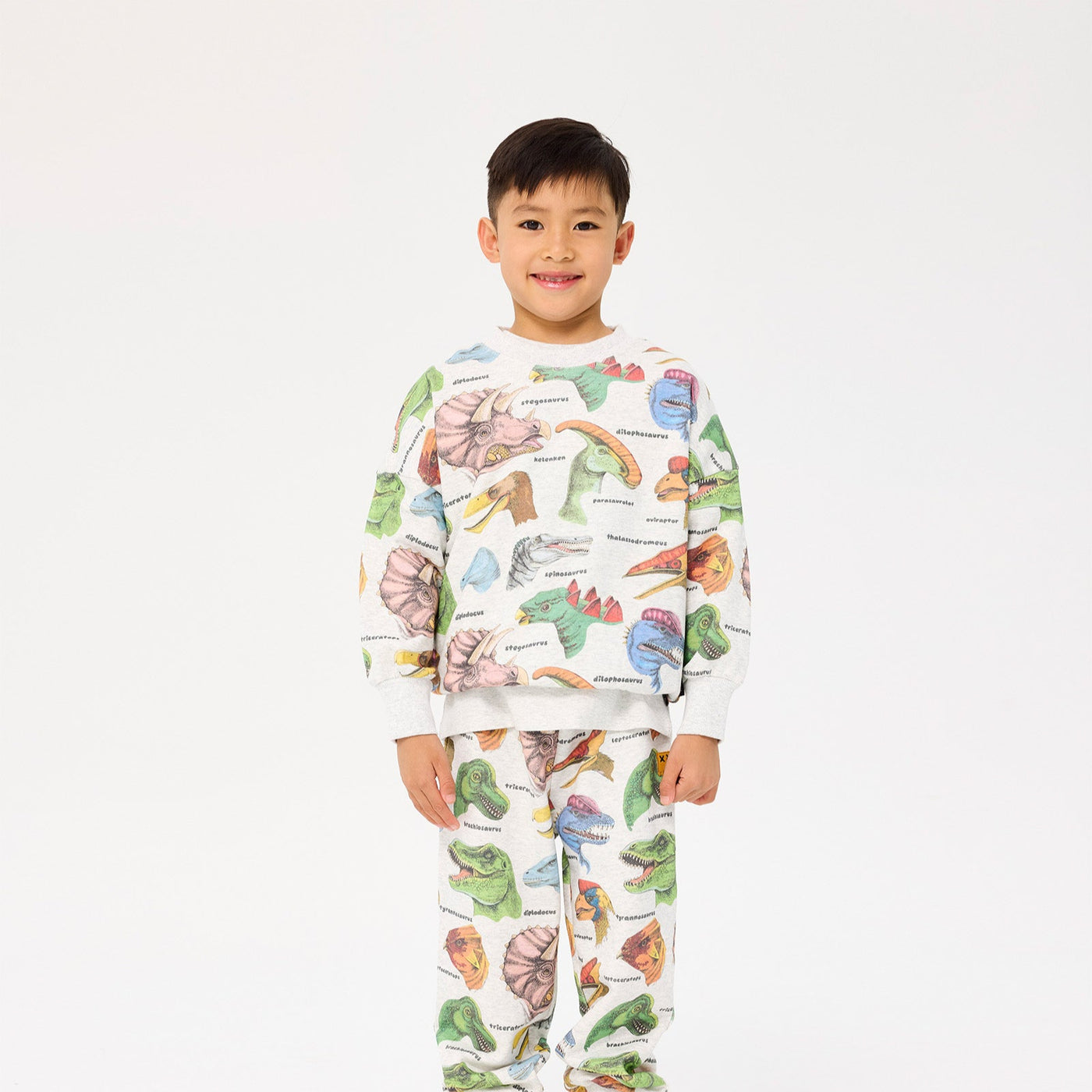 Rock Your Kid Dino Bright Sweatshirt