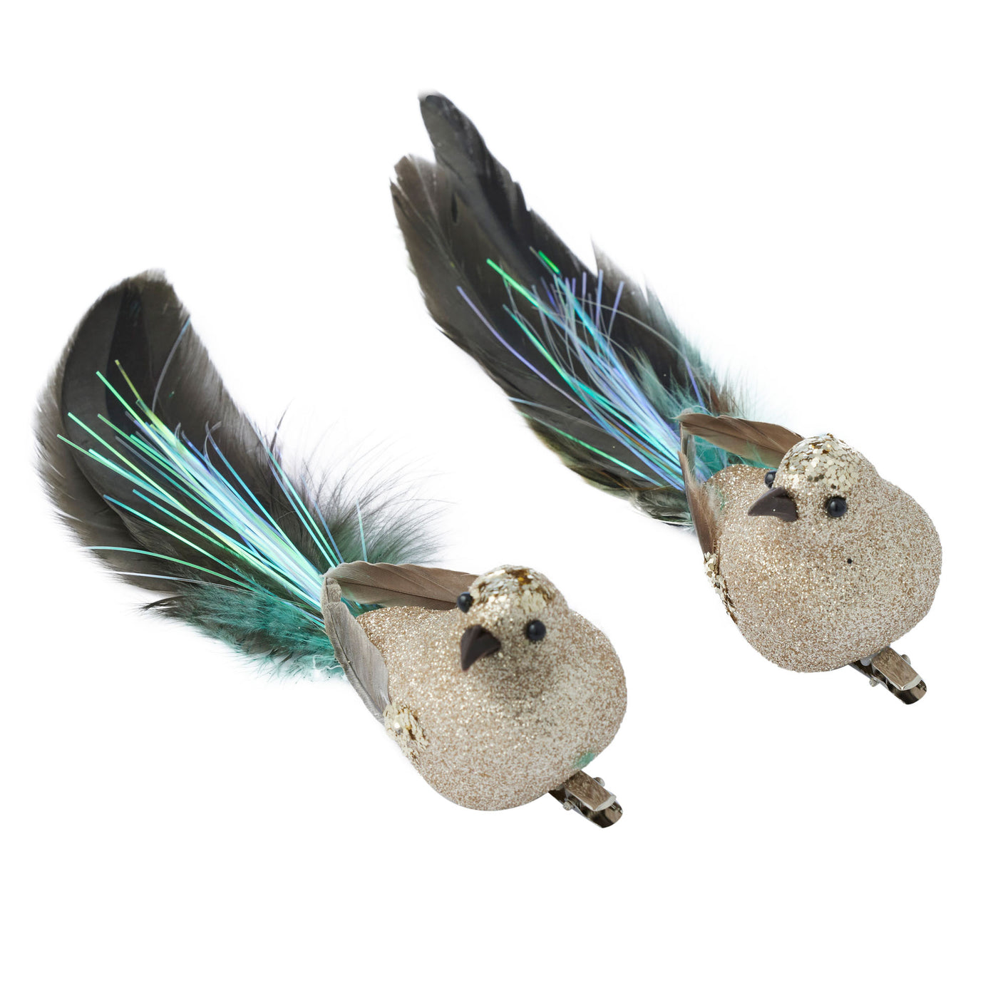 S/2 Bird Clip w/Feather