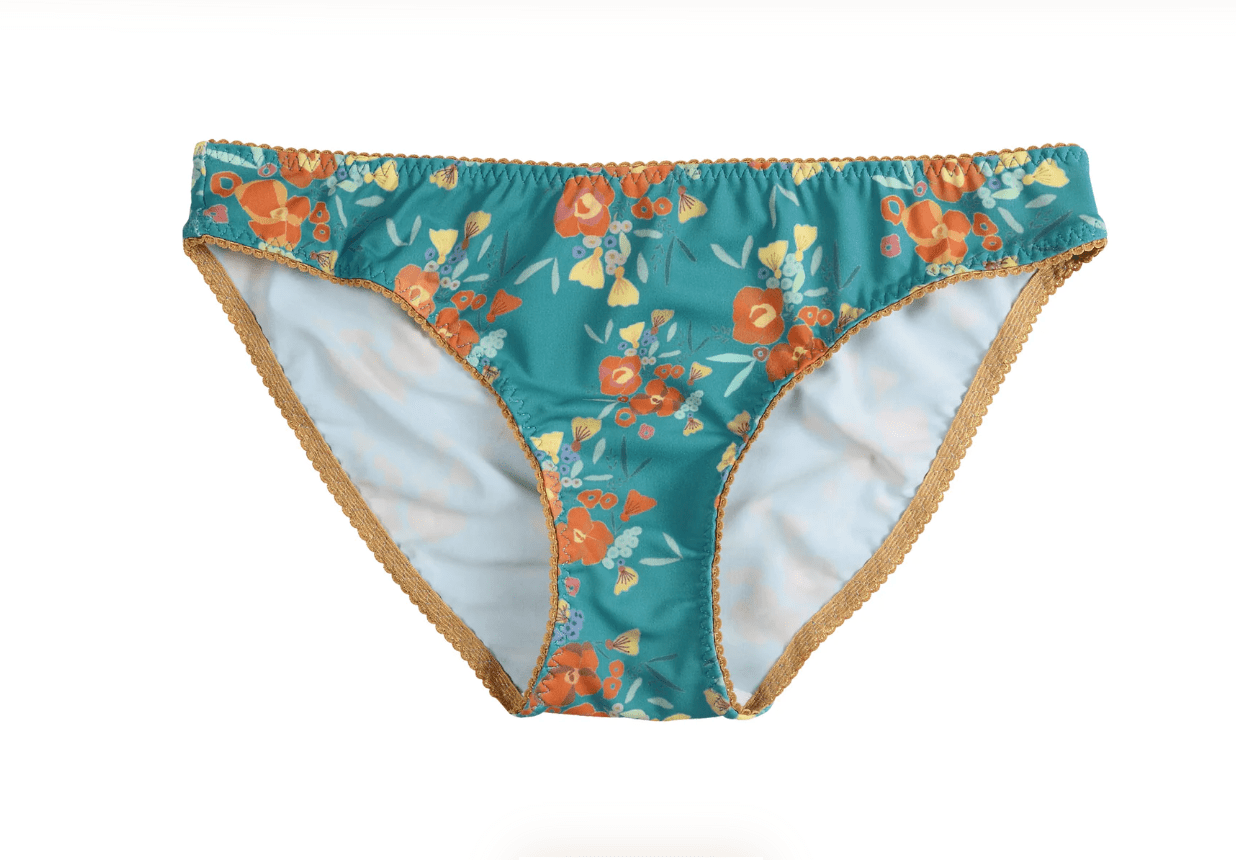 Bimby + Roy Widri Hipster Briefs