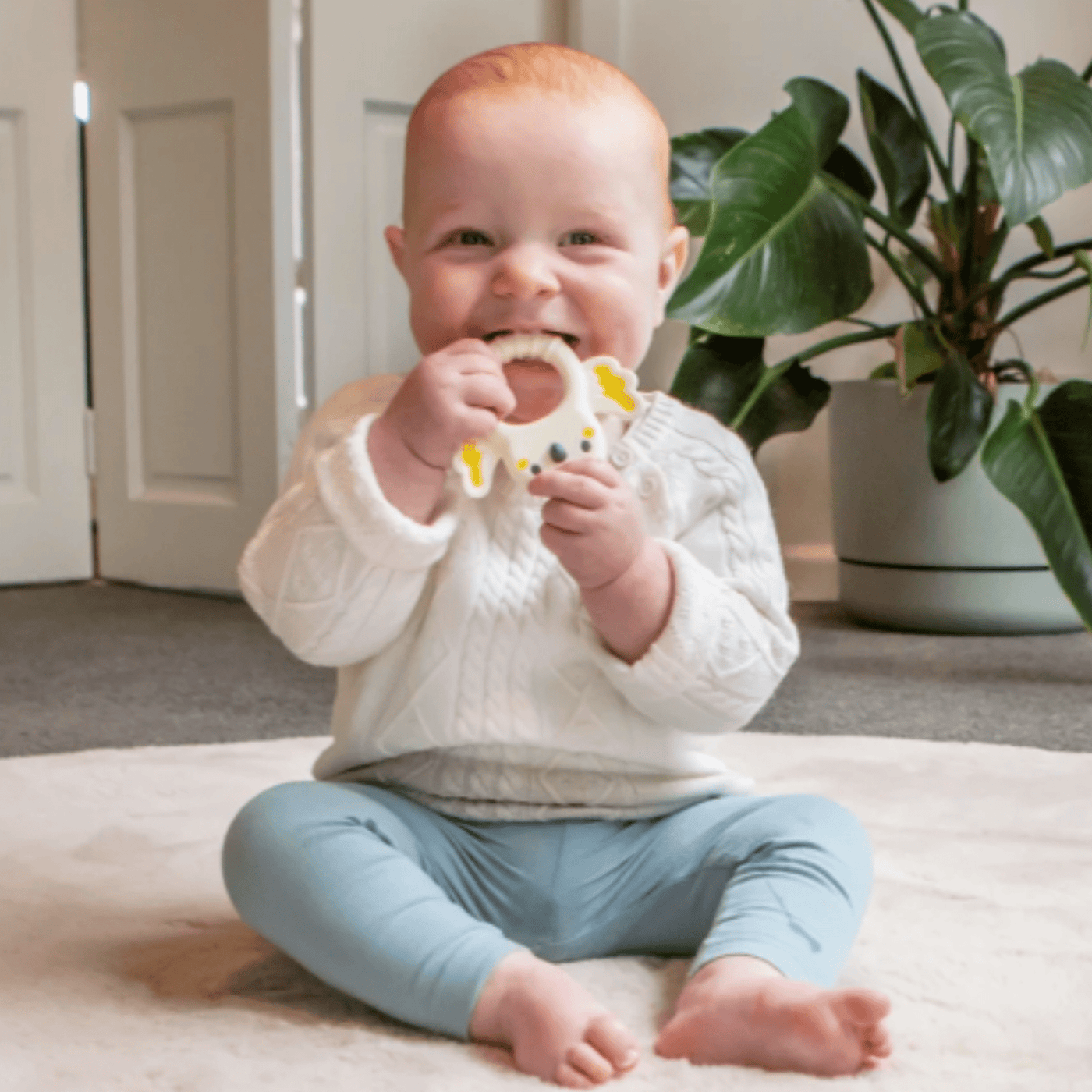 Silicone Teether Cockatoo