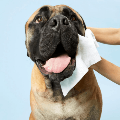 DOG Wipes