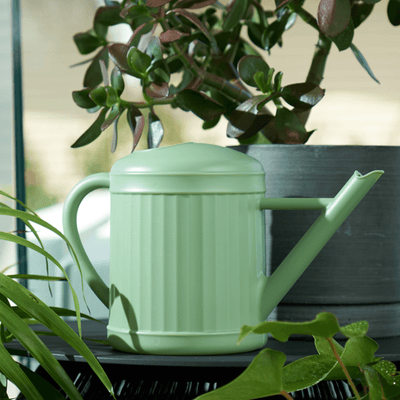 Watering Can in Sage