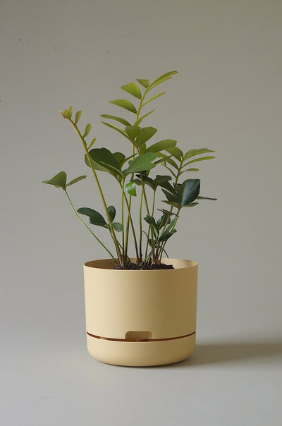 Mr Kitly Decor Self Watering Pot Plant